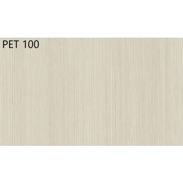 Fényes PET fólia - PET 100 