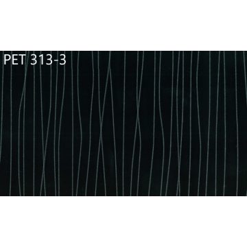 Fényes PET fólia - PET 313-3 